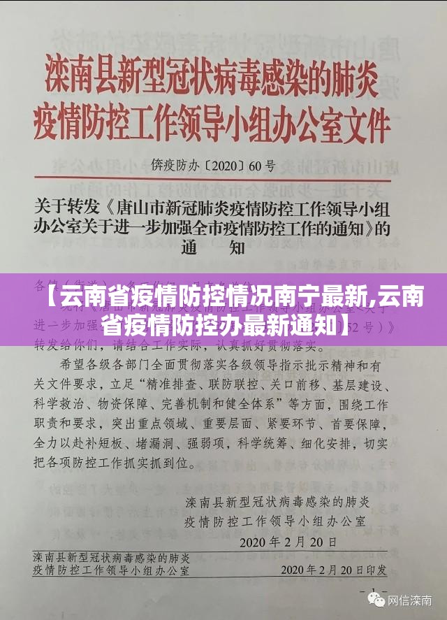 【云南省疫情防控情况南宁最新,云南省疫情防控办最新通知】