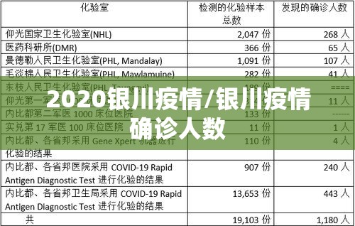 2020银川疫情/银川疫情确诊人数
