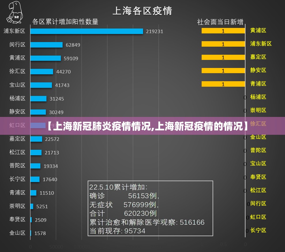 【上海新冠肺炎疫情情况,上海新冠疫情的情况】