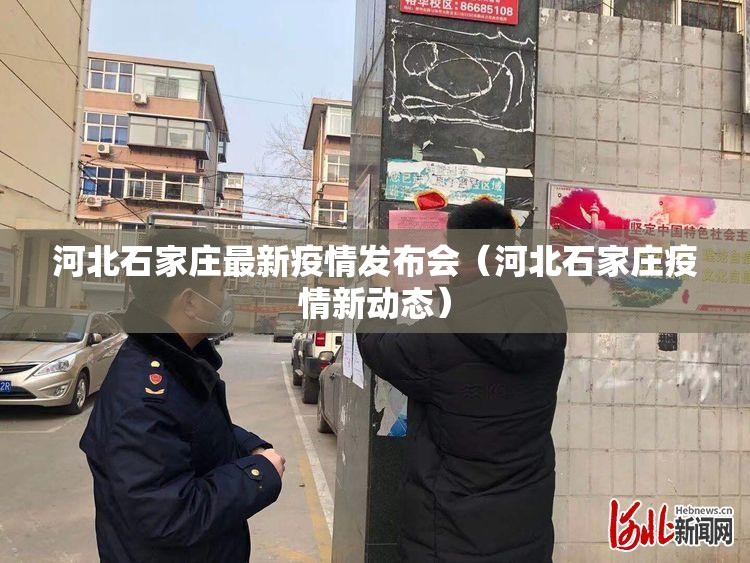 河北石家庄最新疫情发布会（河北石家庄疫情新动态）