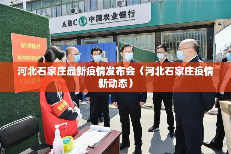 河北石家庄最新疫情发布会（河北石家庄疫情新动态）