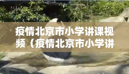 疫情北京市小学讲课视频（疫情北京市小学讲课视频大全）