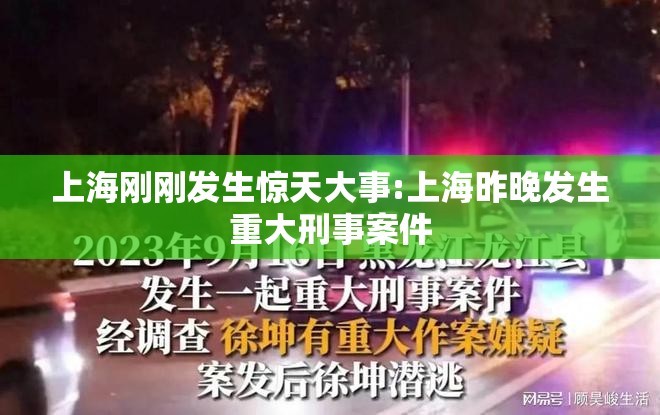 上海刚刚发生惊天大事:上海昨晚发生重大刑事案件