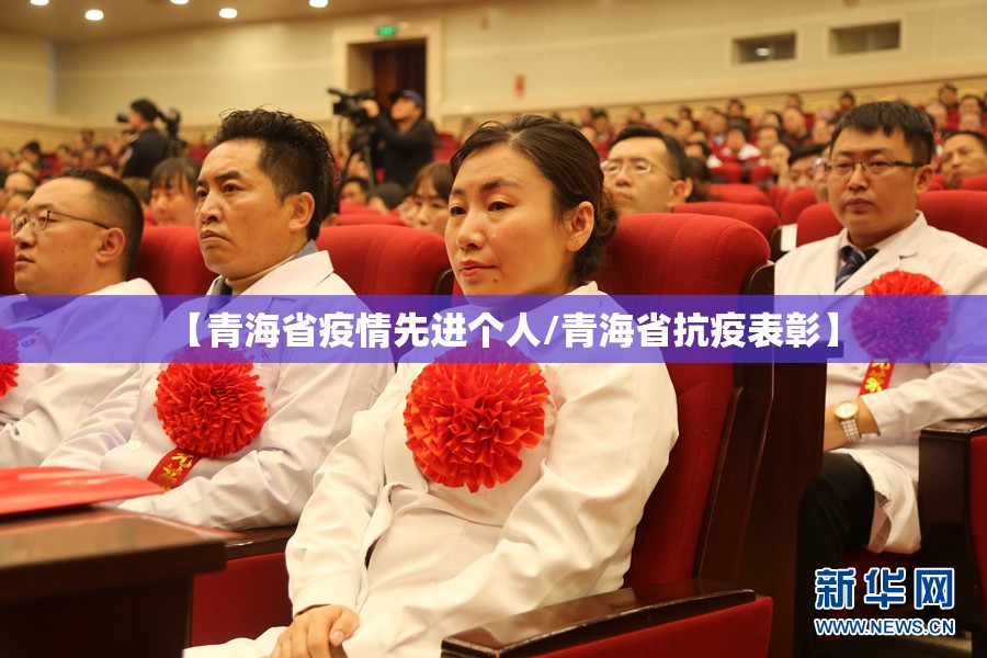 【青海省疫情先进个人/青海省抗疫表彰】