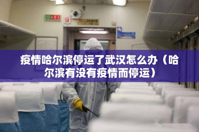 疫情哈尔滨停运了武汉怎么办（哈尔滨有没有疫情而停运）