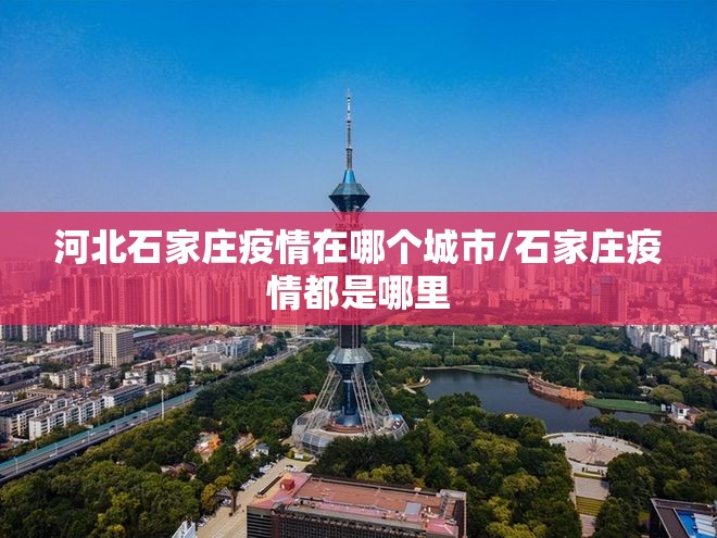 四川省疫情信息成都最新消息（四川省疫情信息成都最新消息查询）