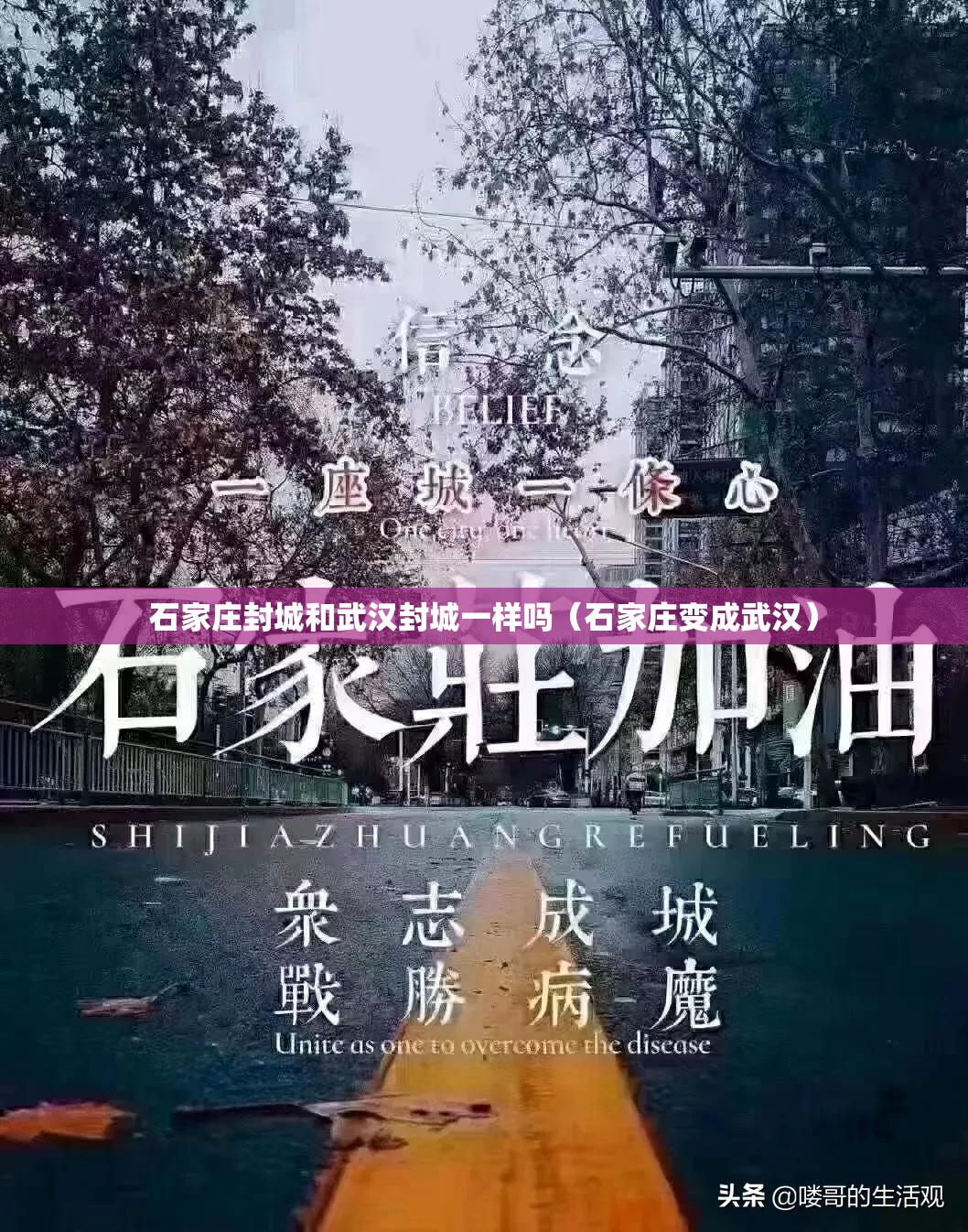 石家庄封城和武汉封城一样吗（石家庄变成武汉）