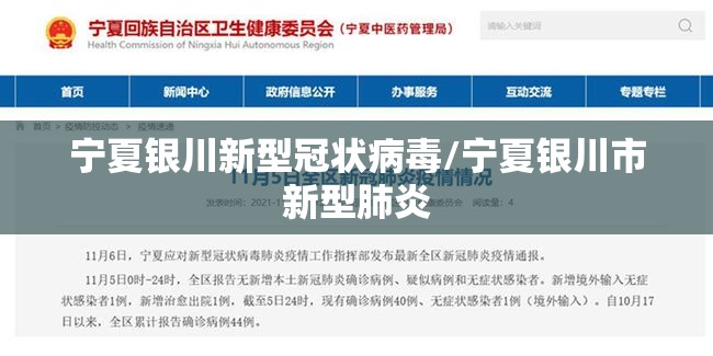 宁夏银川新型冠状病毒/宁夏银川市新型肺炎