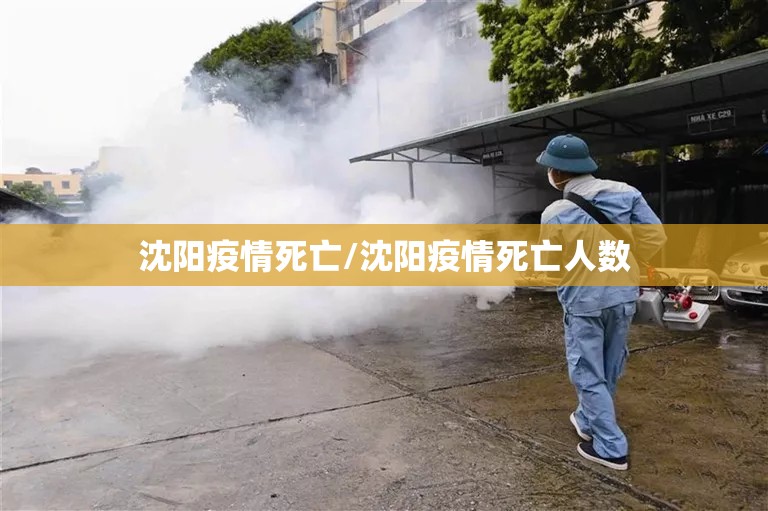 沈阳疫情死亡/沈阳疫情死亡人数