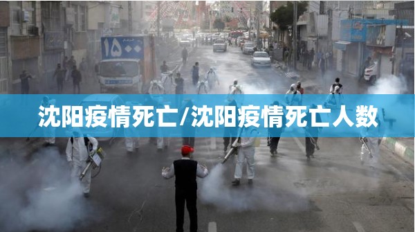 沈阳疫情死亡/沈阳疫情死亡人数