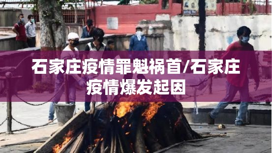 石家庄疫情罪魁祸首/石家庄疫情爆发起因