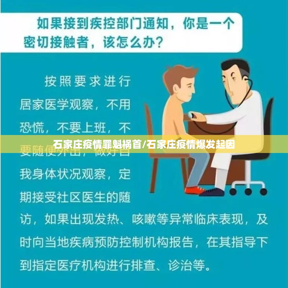 石家庄疫情罪魁祸首/石家庄疫情爆发起因