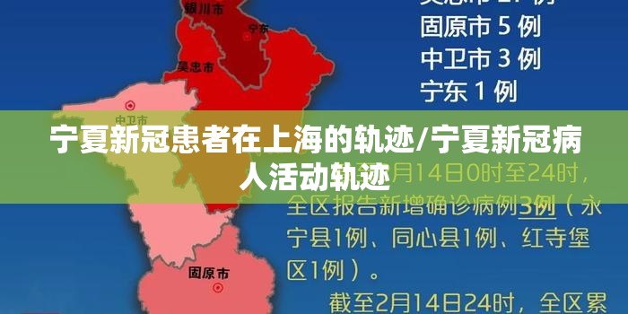 宁夏新冠患者在上海的轨迹/宁夏新冠病人活动轨迹