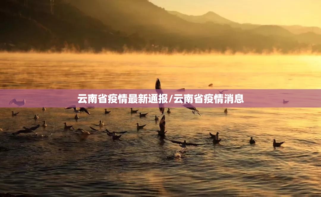云南省疫情最新通报/云南省疫情消息