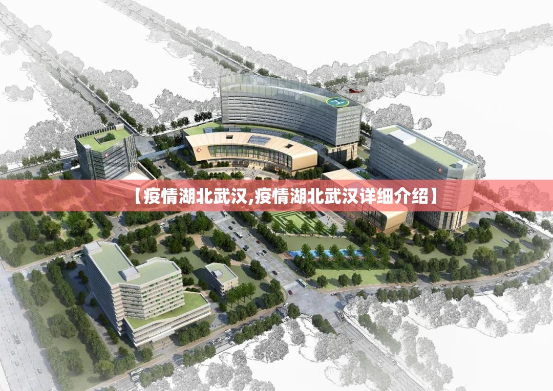 【疫情湖北武汉,疫情湖北武汉详细介绍】