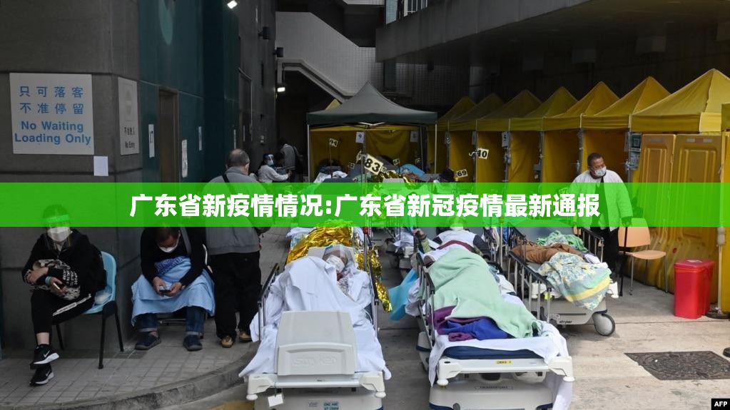 广东省新疫情情况:广东省新冠疫情最新通报