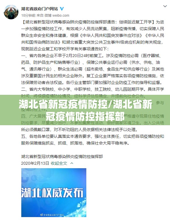 湖北省新冠疫情防控/湖北省新冠疫情防控指挥部
