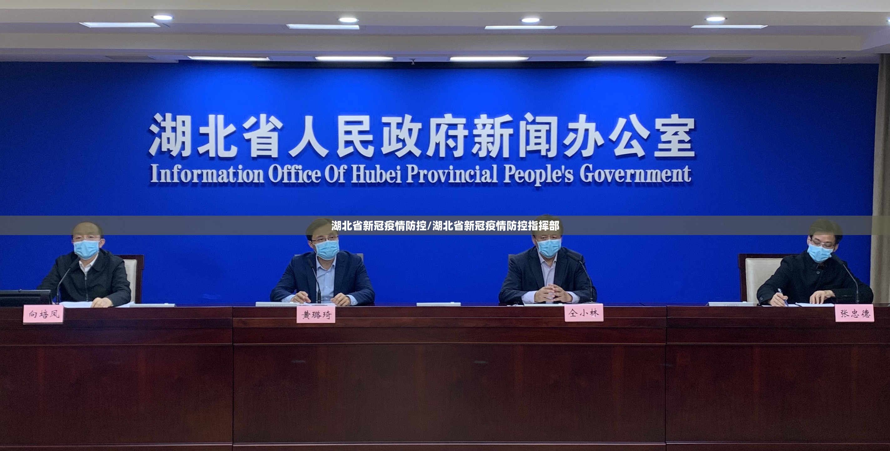 湖北省新冠疫情防控/湖北省新冠疫情防控指挥部
