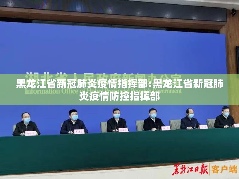 黑龙江省新冠肺炎疫情指挥部:黑龙江省新冠肺炎疫情防控指挥部