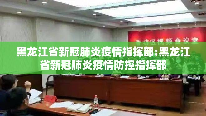 黑龙江省新冠肺炎疫情指挥部:黑龙江省新冠肺炎疫情防控指挥部
