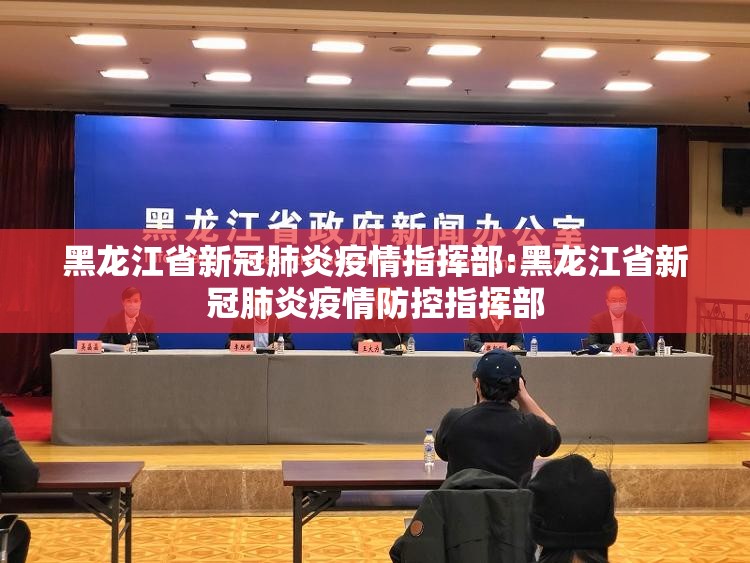 黑龙江省新冠肺炎疫情指挥部:黑龙江省新冠肺炎疫情防控指挥部