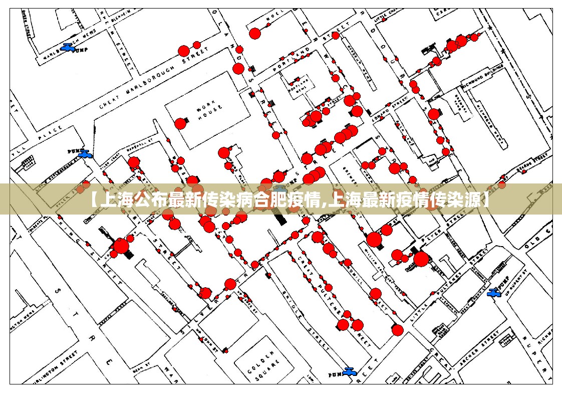 【上海公布最新传染病合肥疫情,上海最新疫情传染源】