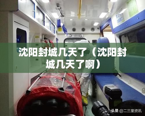 沈阳封城几天了（沈阳封城几天了啊）