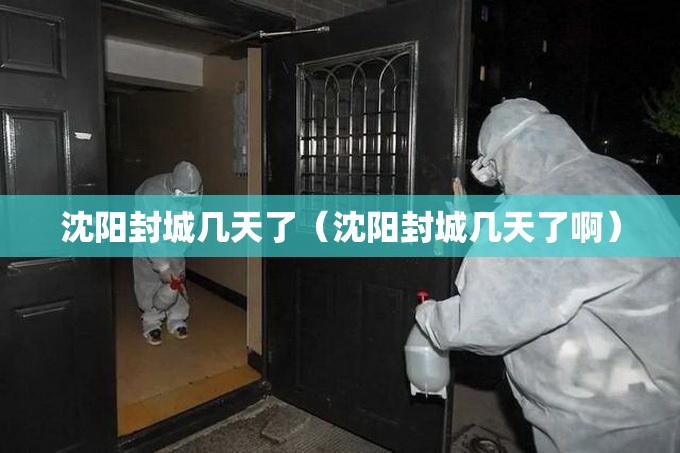 沈阳封城几天了（沈阳封城几天了啊）