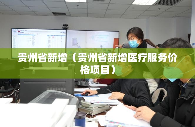 贵州省新增（贵州省新增医疗服务价格项目）