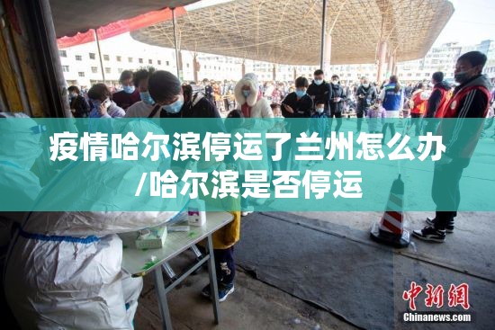 疫情哈尔滨停运了兰州怎么办/哈尔滨是否停运