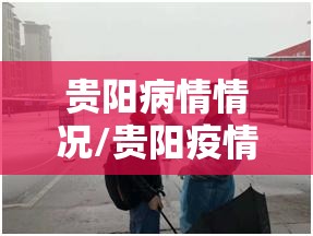 贵阳病情情况/贵阳疫情动态实时播报