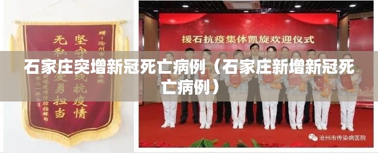 石家庄突增新冠死亡病例（石家庄新增新冠死亡病例）