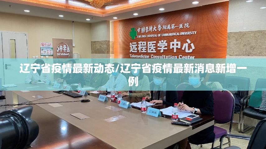 辽宁省疫情最新动态/辽宁省疫情最新消息新增一例