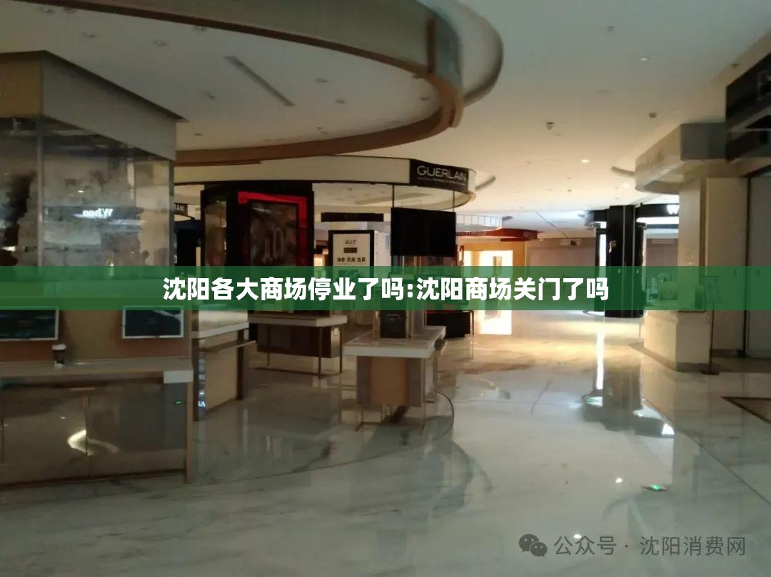 沈阳各大商场停业了吗:沈阳商场关门了吗