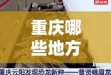 重庆哪些地方出现新冠病毒:重庆什么地方出现了新冠肺炎