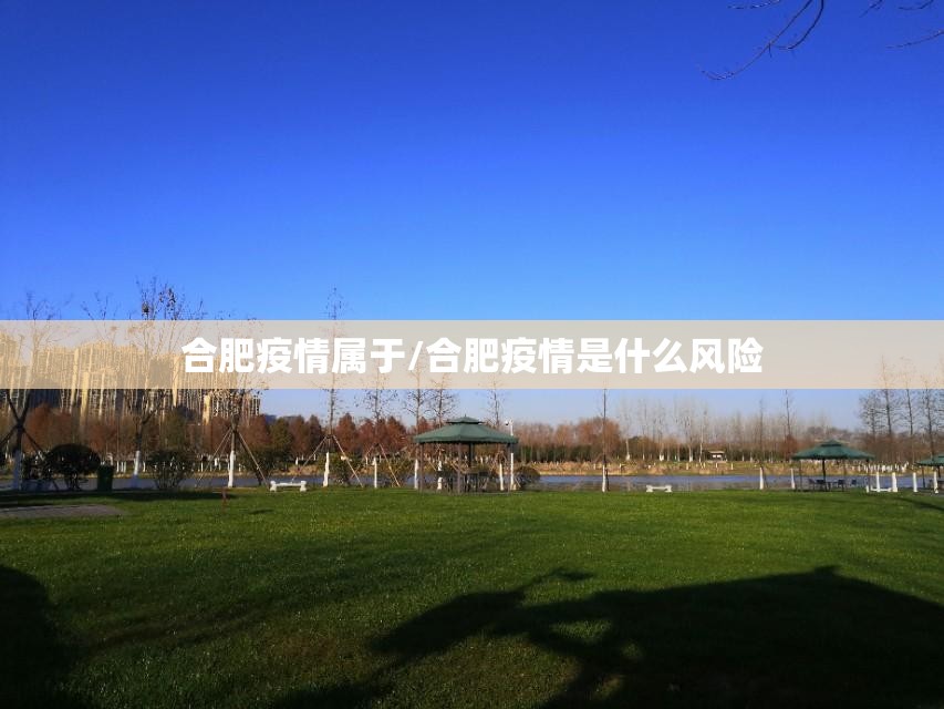 合肥疫情属于/合肥疫情是什么风险