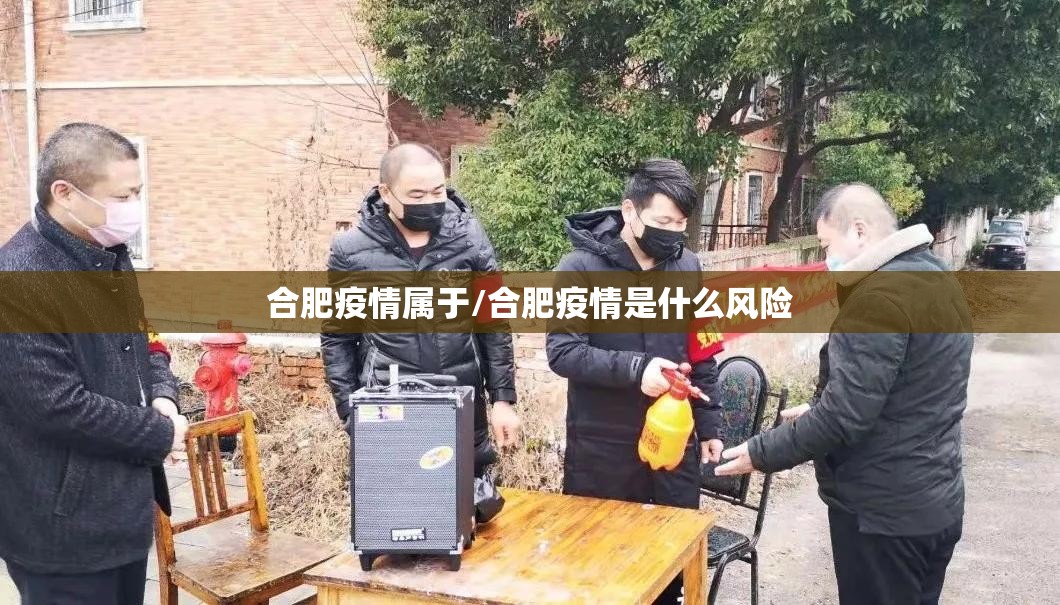 合肥疫情属于/合肥疫情是什么风险