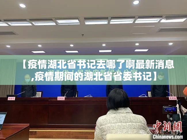 【疫情湖北省书记去哪了啊最新消息,疫情期间的湖北省省委书记】