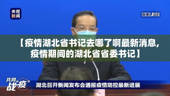 【疫情湖北省书记去哪了啊最新消息,疫情期间的湖北省省委书记】