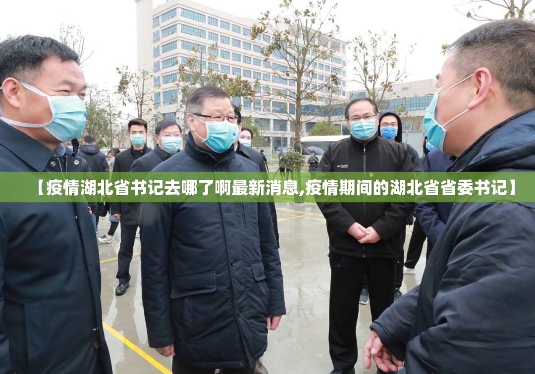 【疫情湖北省书记去哪了啊最新消息,疫情期间的湖北省省委书记】