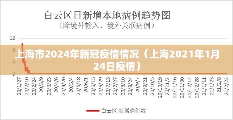 上海市2024年新冠疫情情况（上海2021年1月24日疫情）