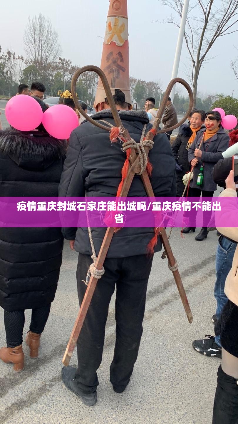 疫情重庆封城石家庄能出城吗/重庆疫情不能出省