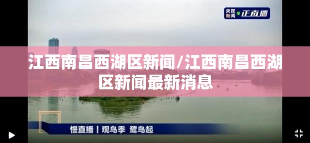 江西南昌西湖区新闻/江西南昌西湖区新闻最新消息