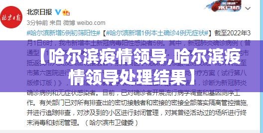 【哈尔滨疫情领导,哈尔滨疫情领导处理结果】