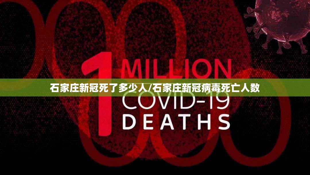 石家庄新冠死了多少人/石家庄新冠病毒死亡人数