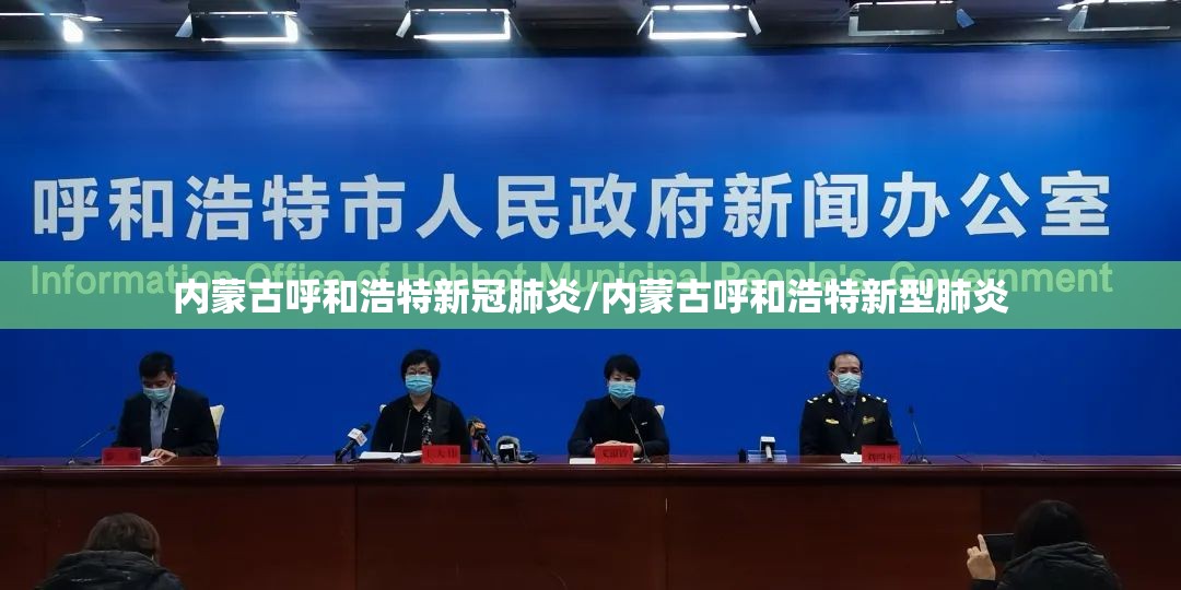 内蒙古呼和浩特新冠肺炎/内蒙古呼和浩特新型肺炎