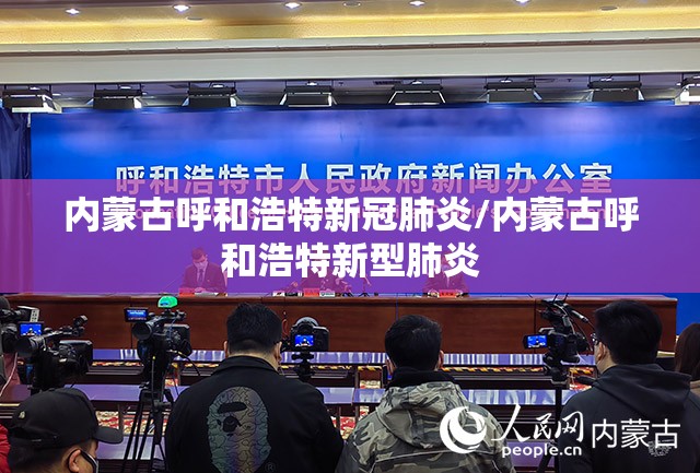 内蒙古呼和浩特新冠肺炎/内蒙古呼和浩特新型肺炎