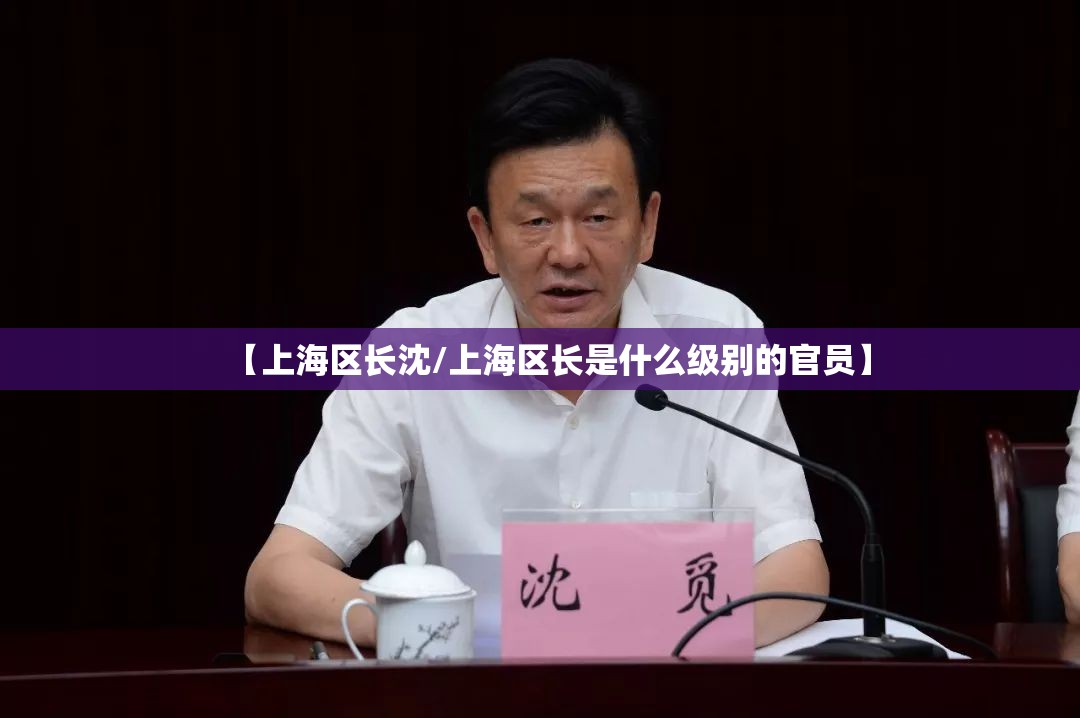 【上海区长沈/上海区长是什么级别的官员】