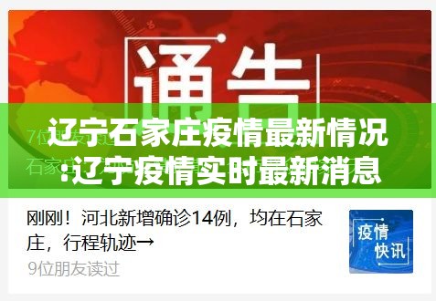 辽宁石家庄疫情最新情况:辽宁疫情实时最新消息