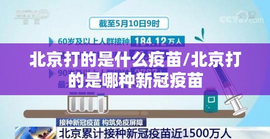 北京打的是什么疫苗/北京打的是哪种新冠疫苗